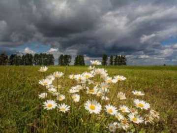 Погода у Луцьку та Волинській області на завтра, 15 серпня