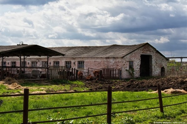 Волинське село у фото