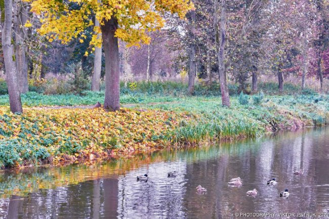 Неймовірна осінь у луцькому парку. ФОТО