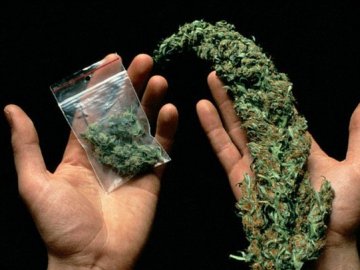 На волинському пункті пропуску у рейсовому автобусі знайшли пакунок з наркотиками 