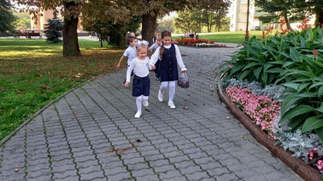 Каштани для ЗСУ: учні луцького ліцею зібрали їх 700 кілограмів. ВІДЕО