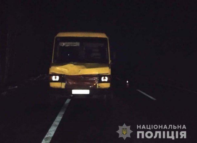 На автодорозі «Київ-Ковель-Ягодин» маршрутка збила двох пішоходів. ФОТО