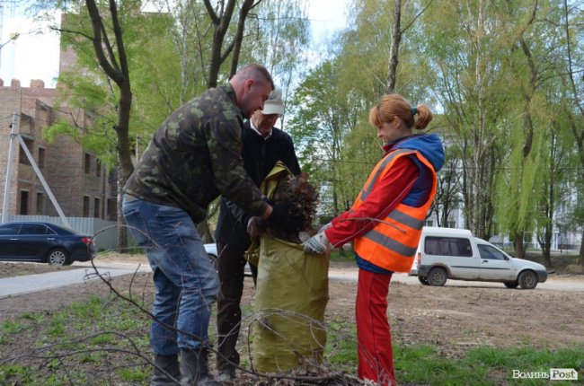 Граблі, мітли і нові деревця: весняна толока у луцькому парку. ФОТО