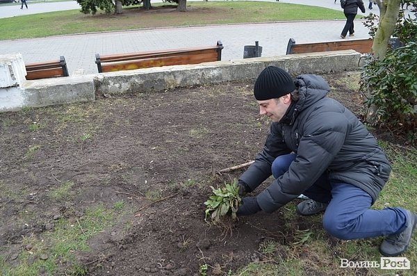 Активісти в центрі Луцька садили клумбу. ФОТО
