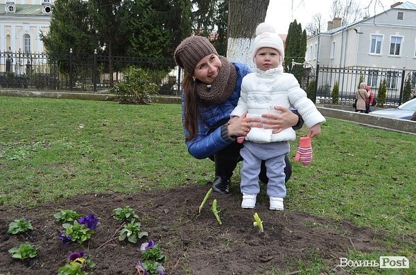 Активісти в центрі Луцька садили клумбу. ФОТО
