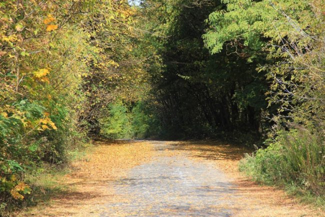 Луцький фотограф поділився атмосферними осінніми світлинами. ФОТО 