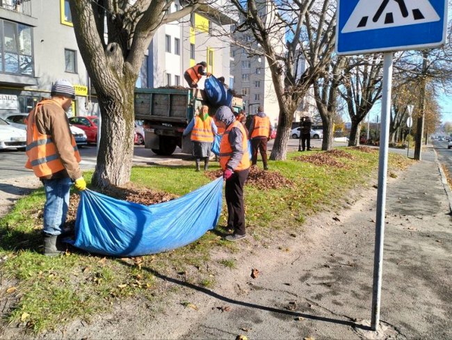 Щодня до 5 тонн: як комунальники у Луцьку утилізовують опале листя