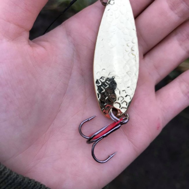 «Риболовля – це класно, якщо ви не провалюєтесь у боброву яму», – волинська журналістка