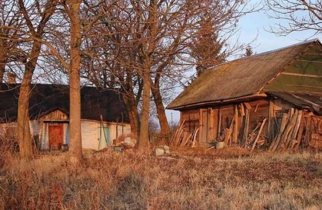 Волинський фотограф показав неймовірну природу Волині у різні пори року. ФОТО