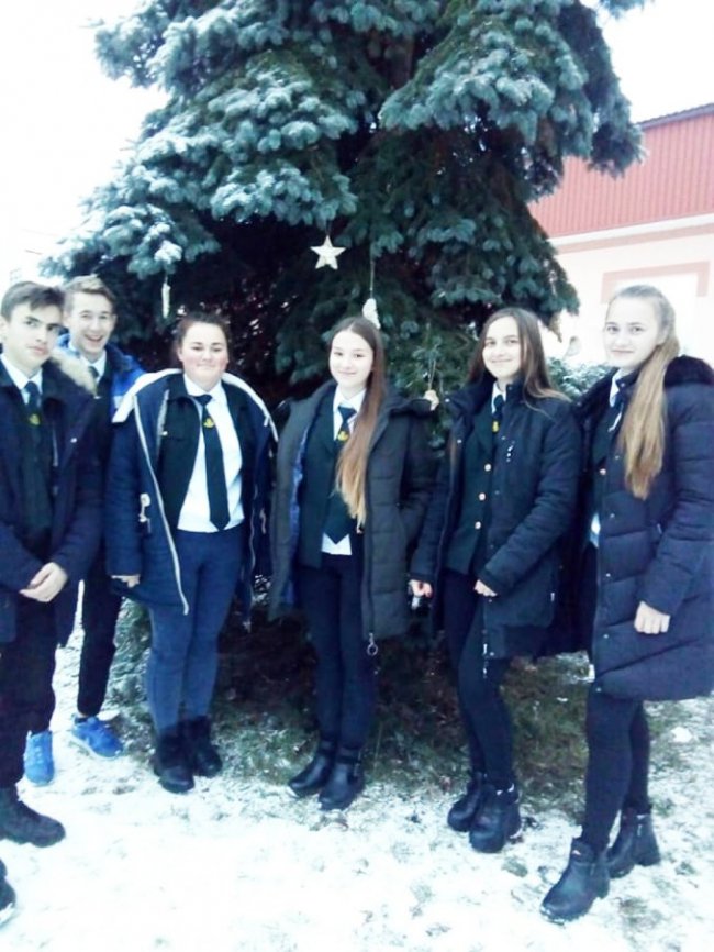 Дітлахи рятують птахів на Волині спеціальними смаколиками. ФОТО