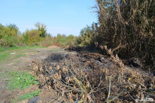 Дихати неможливо: лучани скаржаться на сміття та паліїв у центральному парку