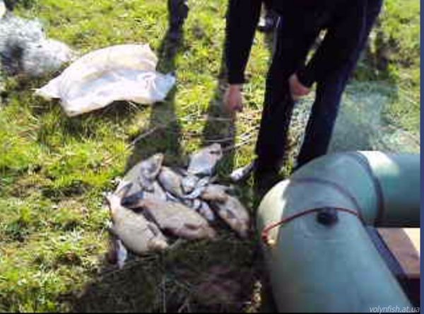 На Волині голова товариства мисливців і рибалок попався на браконьєрстві