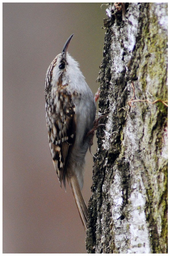 Загубленими стежками: луцький фотограф про Центральний парк міста