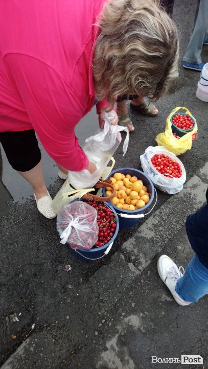 Від і до: скільки коштують перші абрикоси на луцькому ринку. ФОТО