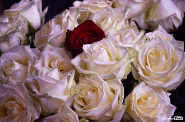 У Луцьку відзначили премією «Люди року» героїв АТО та волонтерів. ФОТО