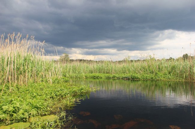 Волинський фотограф показав красу «високої води» річки Стохід. ФОТО