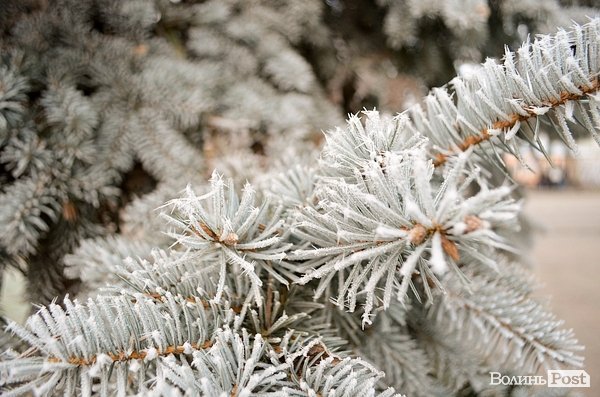 Передноворічний Луцьк убрався в іній. ФОТО