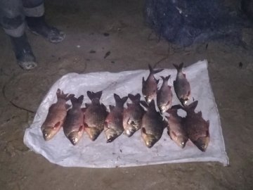 За місяць на Волині зловили півсотні «рибних» порушників