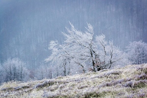 Фотовиставка Олега Гордіюка