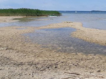 Зеленського просять вжити заходів щодо порятунку озера Світязь