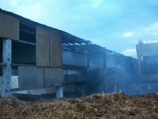 На Рівненщині горів деревообробний комбінат. ФОТО