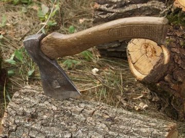 Директора волинського лісгоспу підозрюють в оборудках на 2 мільйони