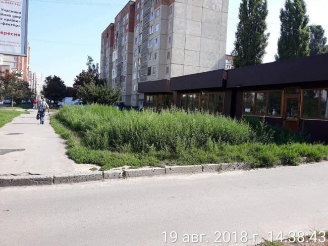 У Луцьку кіоски «горе-підприємців» поросли бур'яном. ФОТО