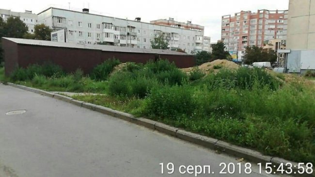 У Луцьку кіоски «горе-підприємців» поросли бур'яном. ФОТО