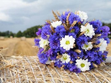 Погода у Луцьку та Волинській області на завтра, 4 серпня