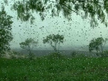 Туман і короткочасні дощі: якою буде погода на Волині у вівторок, 6 липня