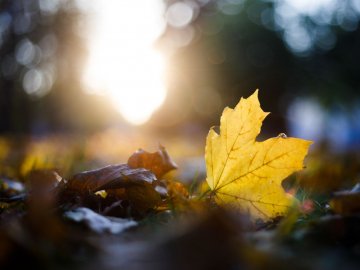 Погода в Луцьку на понеділок, 25 жовтня