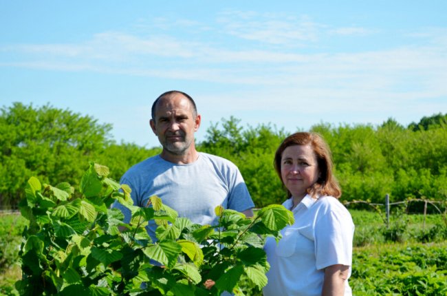 2 гектари малини, фундука, ожини та лохини: ветеран АТО з Волині перетворив хащі на сад