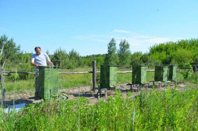 2 гектари малини, фундука, ожини та лохини: ветеран АТО з Волині перетворив хащі на сад