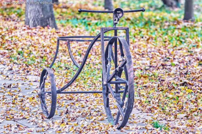 Неймовірна осінь у луцькому парку. ФОТО