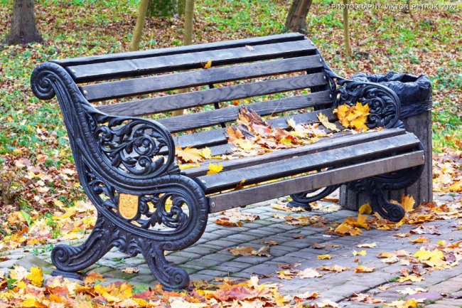 Неймовірна осінь у луцькому парку. ФОТО