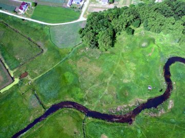 «Буду їздити де заманеться»: у парку на Волині автівками «гасають» по новій бруківці