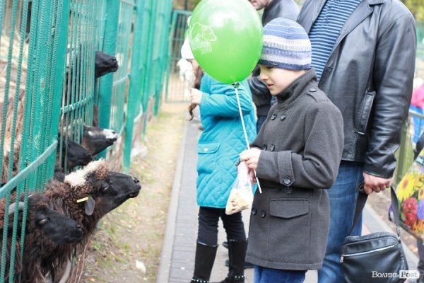 У Луцьку відкрили оновлений зоопарк. ФОТО 
