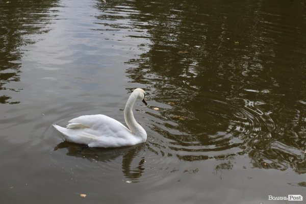 У Луцьку відкрили оновлений зоопарк. ФОТО 