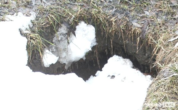 У Луцьку затопило вулицю Ветеранів. ФОТО