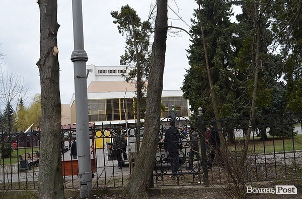 У центрі Луцька різали дерева. ФОТО