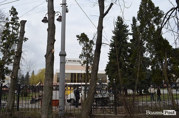 У центрі Луцька різали дерева. ФОТО