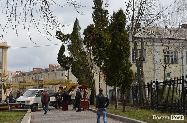 У центрі Луцька різали дерева. ФОТО
