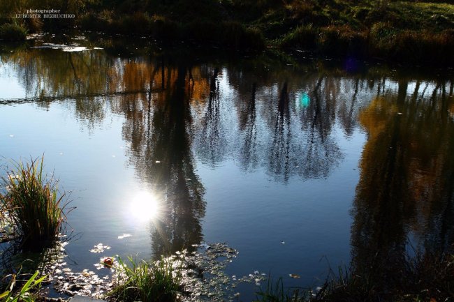 Роса і павутинки: луцький фотограф поділився осінніми світлинами