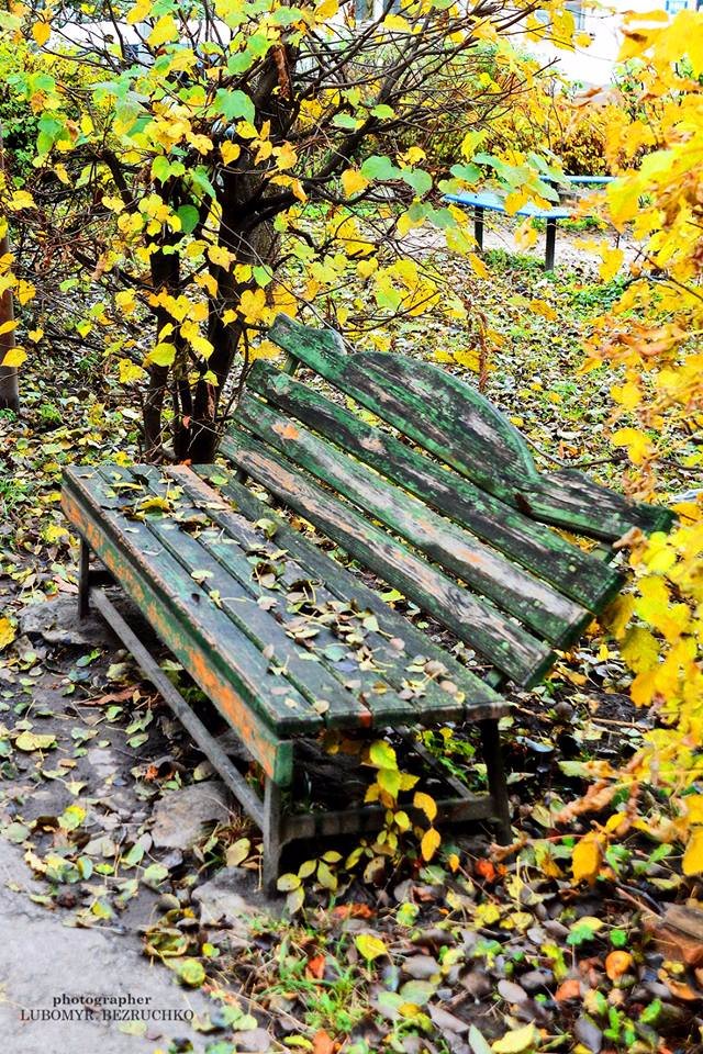 Роса і павутинки: луцький фотограф поділився осінніми світлинами