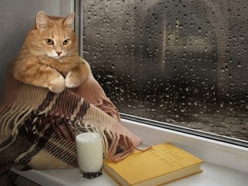 Погода в Луцьку та Волинській області на завтра, 20 січня