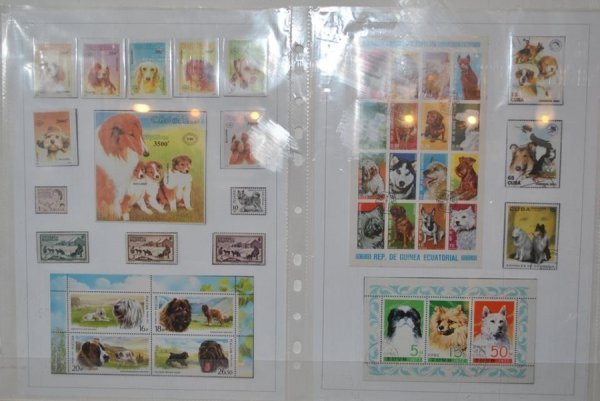 Виставка поштових марок «Свійські тварини» у Луцьку. ФОТО