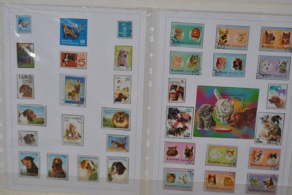 Виставка поштових марок «Свійські тварини» у Луцьку. ФОТО