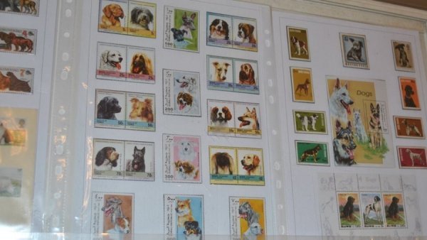 Виставка поштових марок «Свійські тварини» у Луцьку. ФОТО