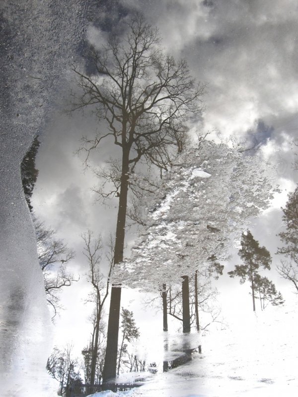 Фотовиставка Світлани Зозулі