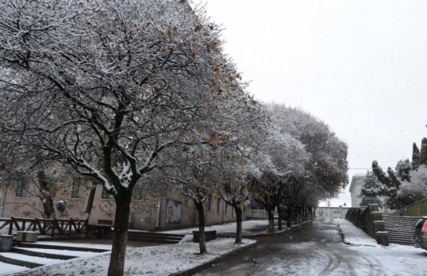Волинь готова до снігопадів, - ОДА. ФОТО